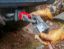 FACTOR 55 LOCKING HITCH PIN - 00037