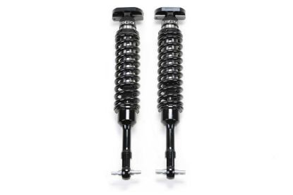 FABTECH 2.5DLSS C/O N/R 15F150 2WD 2' - FTS22269