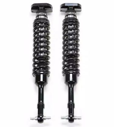 FABTECH 2.5DLSS C/O N/R 15 F150 6' BX3 - FTS22332