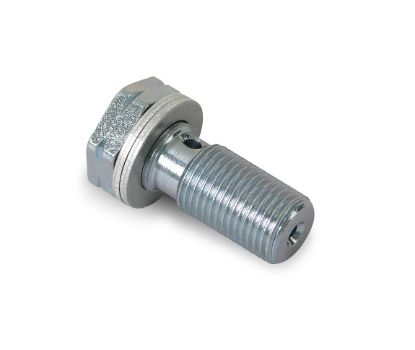 EARL'S 10MM BANJO BOLT-FINE - 977517