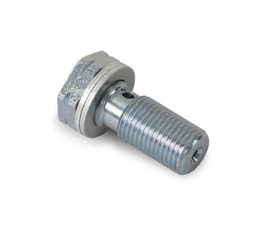 EARL'S 10MM BANJO BOLT-FINE - 977517
