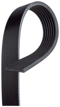 GATES CORP V-RIBBED BELT - K070721
