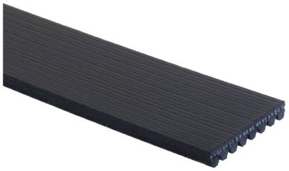 GATES CORP V-RIBBED BELT - K080810