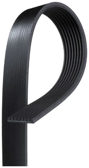 GATES CORP V-RIBBED BELT - K080991