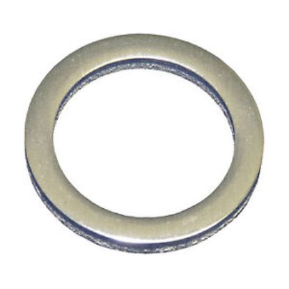EMP GASKET  CRANKCASE DRAIN PLUG - 1202516