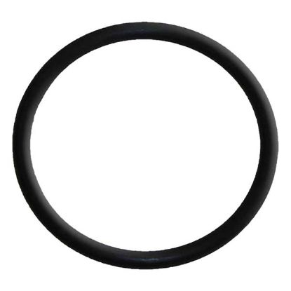 EMP O-RING - 2502440