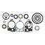 EMP LOWER GEARCASE SEAL KIT - 2600286