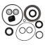 EMP UPPER GEARCASE SEAL KIT - 2603807