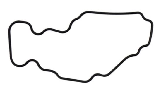 EMP GASKET  FLOAT CHAMBER - 2703324