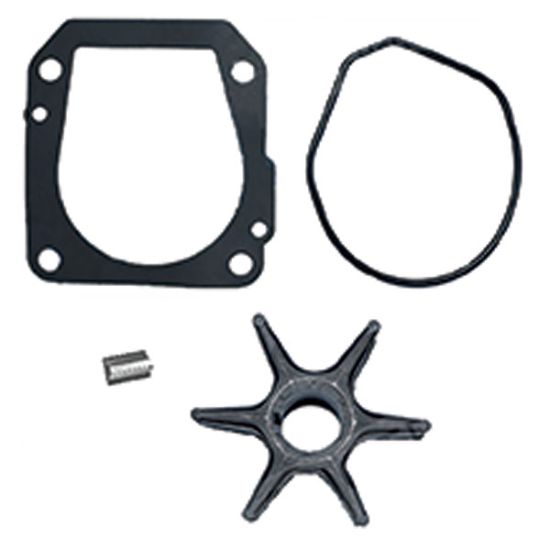 EMP WATER PUMP REPAIR KIT - 4646619
