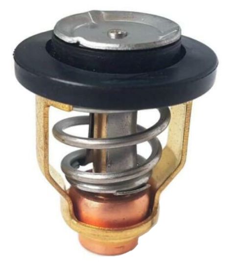 EMP THERMOSTAT 60? - 7575523
