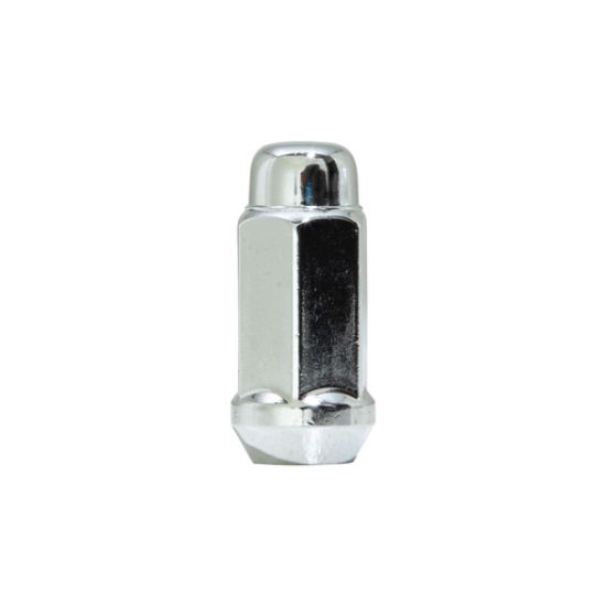 GORILLA QP-DPLX ACORN BX OF 16 - 76158HT