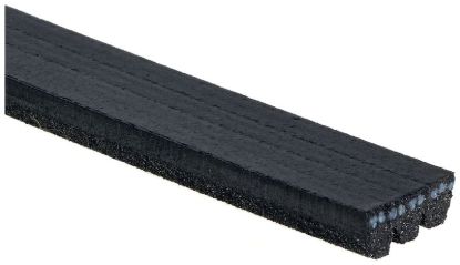 GATES CORP V-RIBBED BELT - K030267