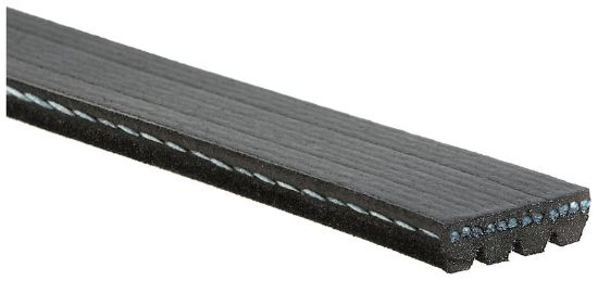 GATES CORP V-RIBBED BELT - K040305
