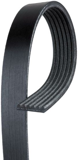 GATES CORP V-RIBBED BELT - K040340