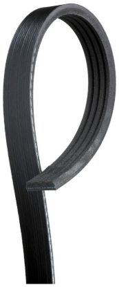GATES CORP V-RIBBED BELT - K040372