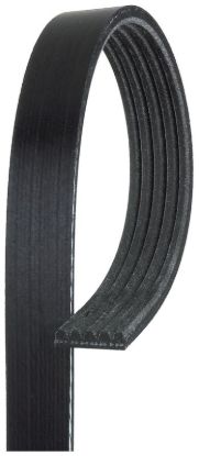 GATES CORP V-RIBBED BELT - K050350