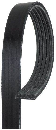 GATES CORP V-RIBBED BELT - K050404