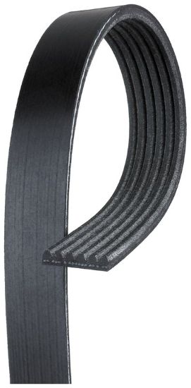 GATES CORP V-RIBBED BELT - K060505