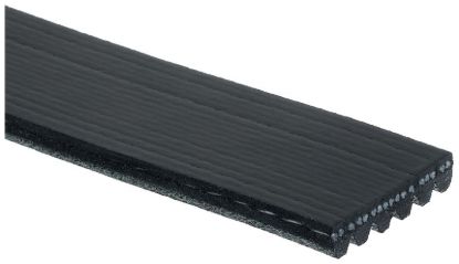GATES CORP V-RIBBED BELT - K060905