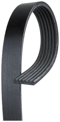 GATES CORP V-RIBBED BELT - K060952