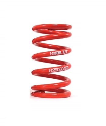 H&R RACE SPRING - R25100100