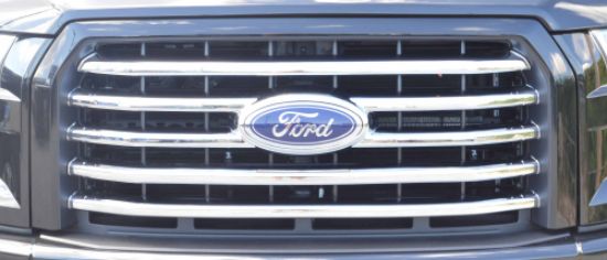 INT TRIM TFP CHROME GRILL INSERT 15-16 - 68196GI