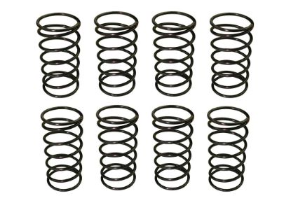 MOROSO VALVE CHECKING SPRINGS-8 - 62380