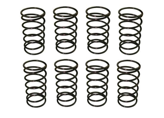 MOROSO VALVE CHECKING SPRINGS-8 - 62380