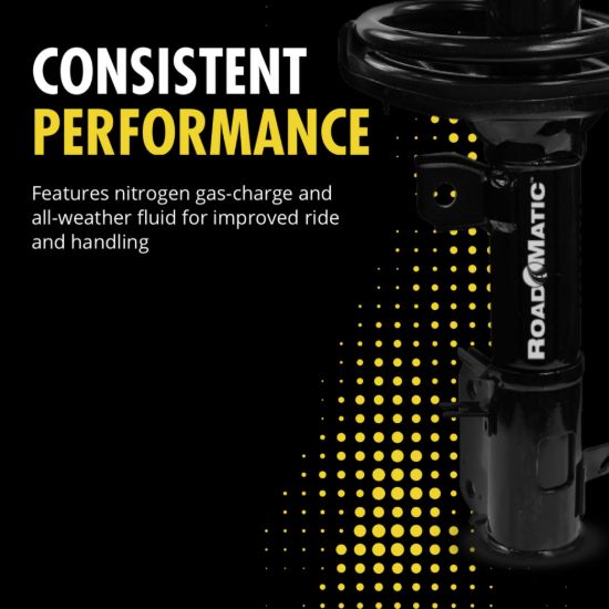 MONROE SHOCK ROADMATIC STRUT ASSEMBLY - 182331