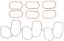 CLEVITE 77 MANIFOLD SET - MS20317