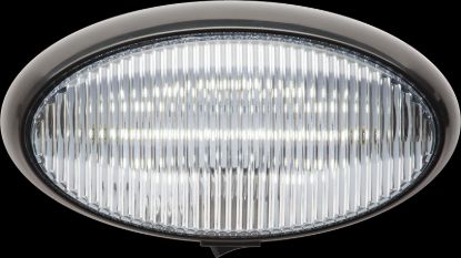 OPTRONICS LED PORCH;OVAL;SWITCH; BLK BASE:CLR - RVPLL13CBP
