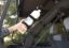 RUGGED RIDGE ELITE FIRE EXTING HOLDER - 1123840