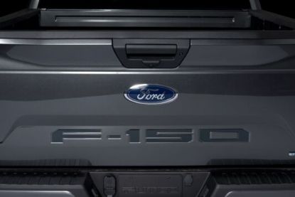PUTCO FORD F150 LETTRS TAILGATE - 55556BPFD