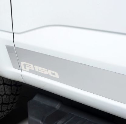 PUTCO FORD LIC. SS ROCKER PANELS FITS; 20 - 9751469FD