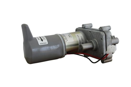LIPPERT COMP GEARMOTOR ASSY DS MT W/P - 383755