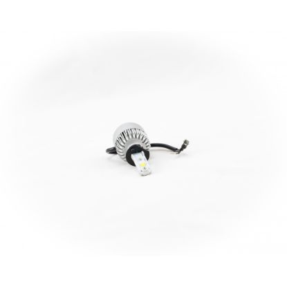ODX H1 INTENSE LED BULB (BOX OF 2) - INTENSEH1