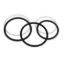 RAM O-RING SET FOR 78125HD - 78509