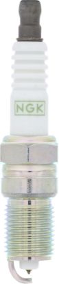 NGK TR55GP SPK PLUGS 4/BX - 3403