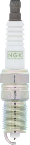 NGK TR55GP SPK PLUGS 4/BX - 3403
