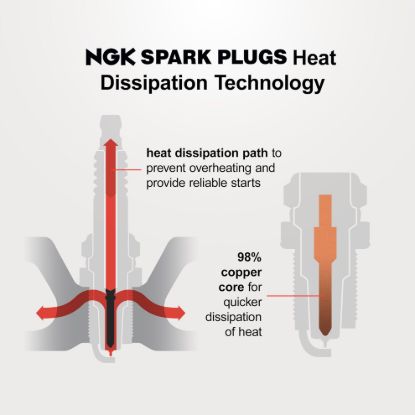 NGK #6579 DOMESTIC PLUG 4/BOX