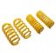 SUSPENS TECH SPRINGS MUSTANGS550 15+ W/ ELC SUSP - 28230072