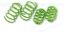 SUSPENS TECH SPORT SPRINGS - 66204