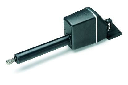 RAYMARINE SHORT LINEAR DRIVE TYPE 2 12V - M81131