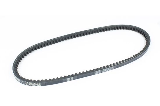 SIERRAMARINE V-BELT - 1815440