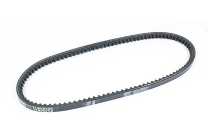 SIERRAMARINE V-BELT - 1815455