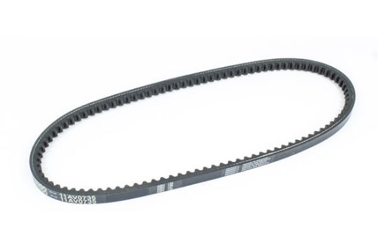 SIERRAMARINE V-BELT - 1815455