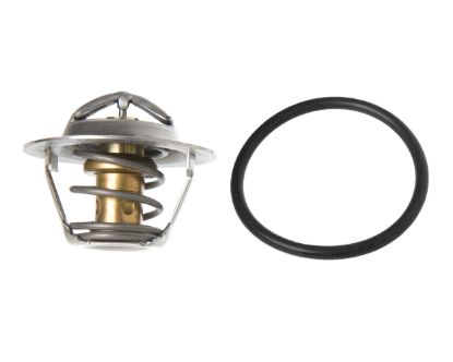 SIERRAMARINE THERMOSTAT - RAW WATER - 183615