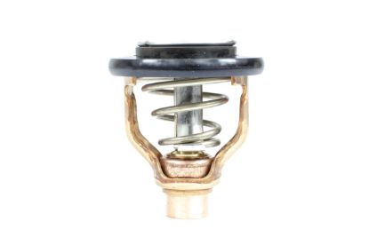 SIERRAMARINE THERMOSTAT KIT - 183634