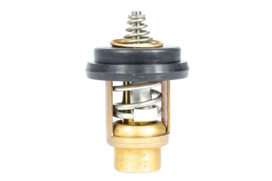 SIERRAMARINE THERMOSTAT KIT - 183638